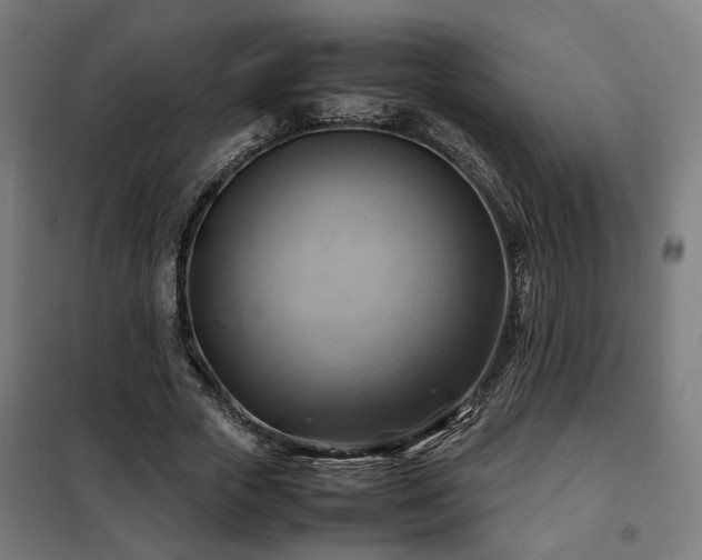 X0000102010729200807251308
