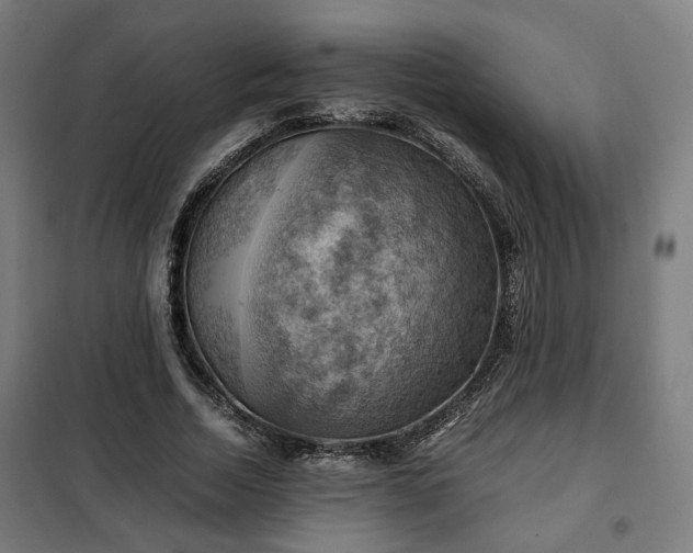 X0000102010730200807251308