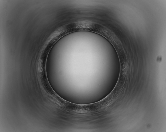 X0000102010731200807251308
