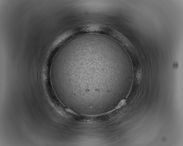 X0000102010732200807251308