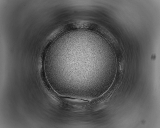 X0000102010733200807251308
