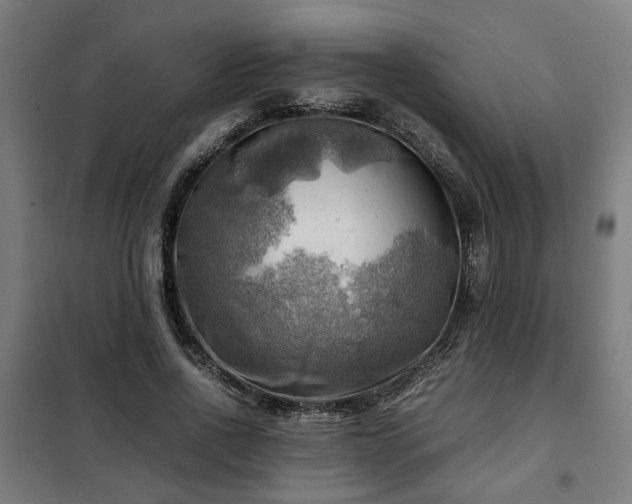 X0000102010734200807251308