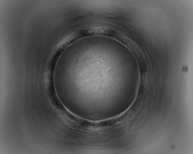 X0000102010735200807251308