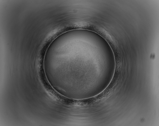 X0000102010736200807251308
