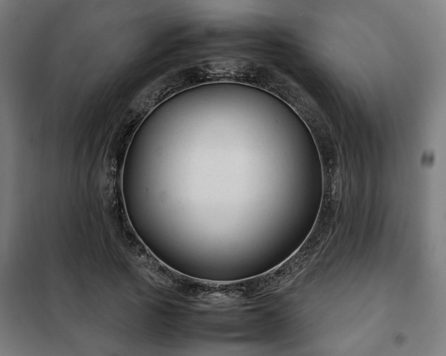X0000102010737200807251308