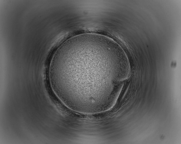 X0000102010738200807251308