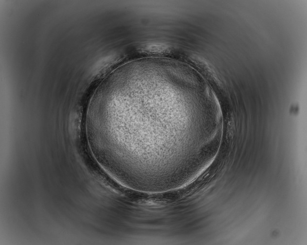 X0000102010739200807251308