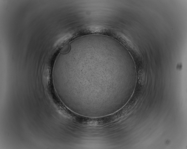 X0000102010740200807251308