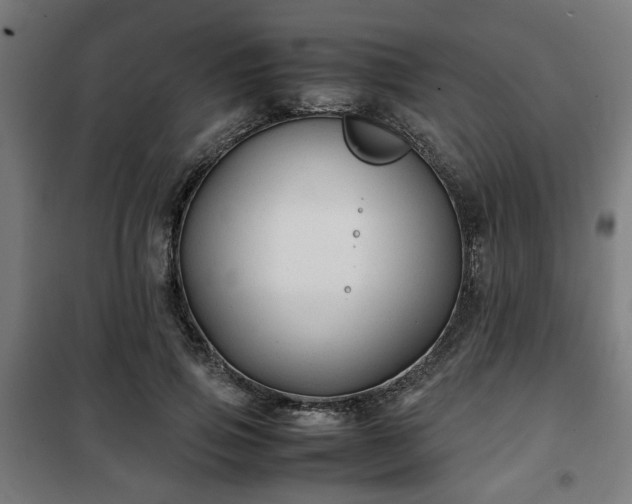 X0000102010741200807251308