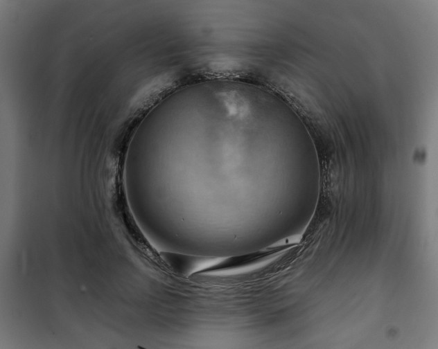 X0000102010742200807251308