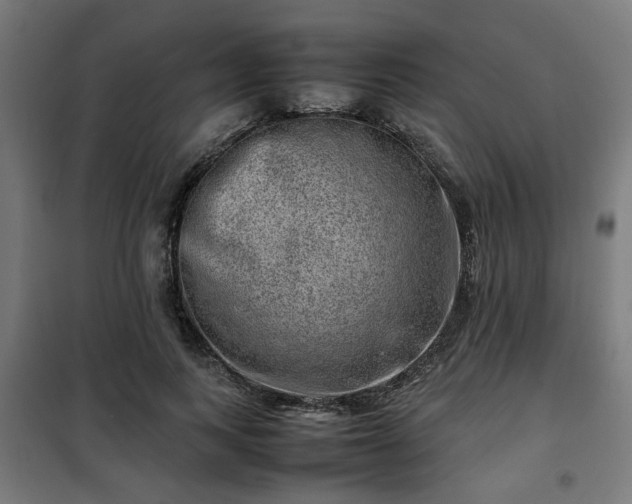 X0000102010743200807251308
