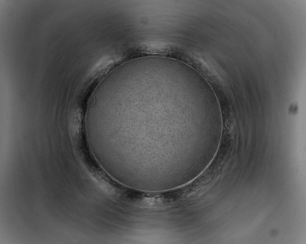 X0000102010744200807251308