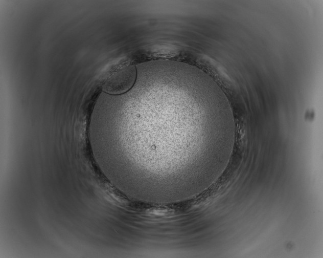 X0000102010745200807251308