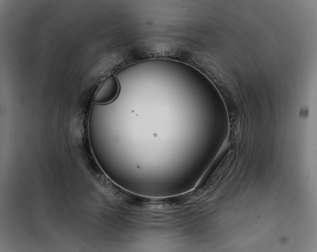 X0000102010746200807251308