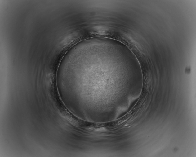X0000102010747200807251308