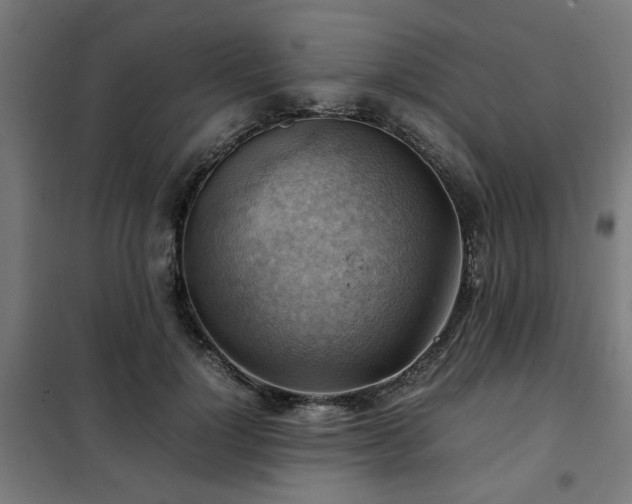 X0000102010748200807251308