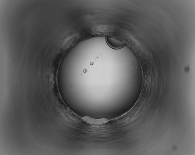 X0000102010749200807251308
