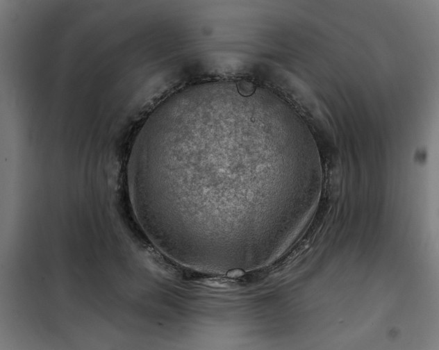 X0000102010750200807251308