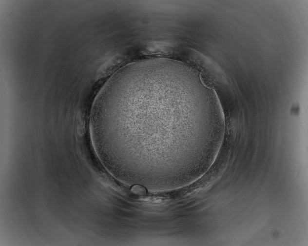 X0000102010751200807251308