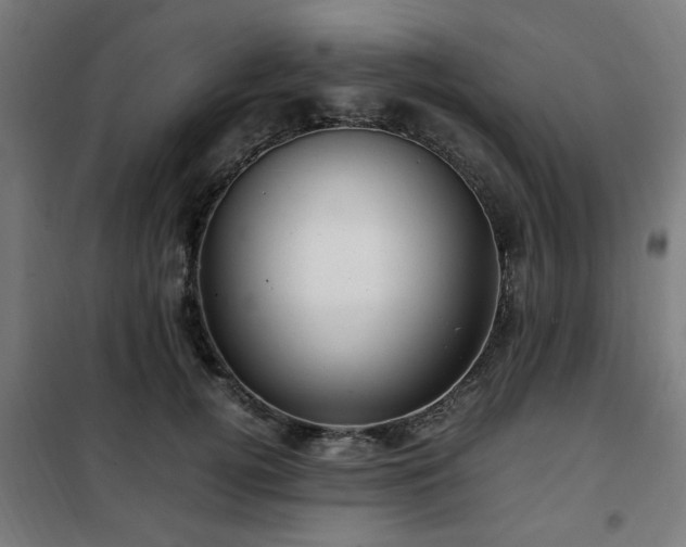 X0000102010752200807251308