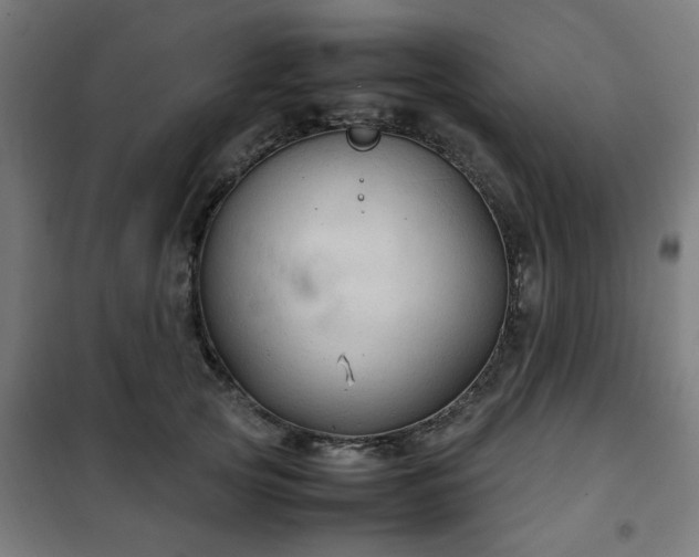 X0000102010753200807251308