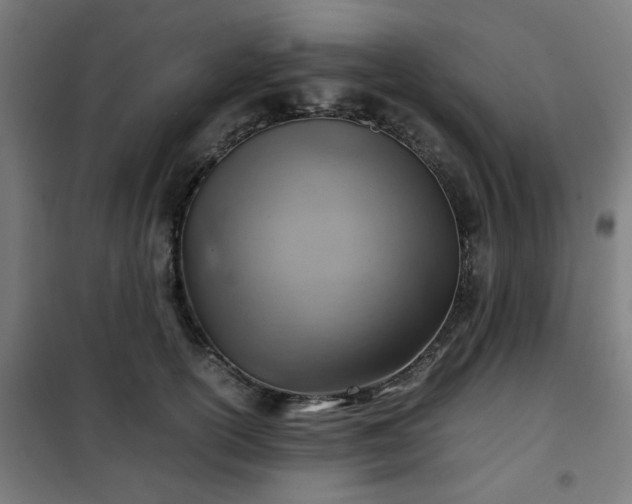 X0000102010754200807251308