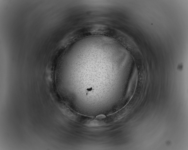 X0000102010755200807251308