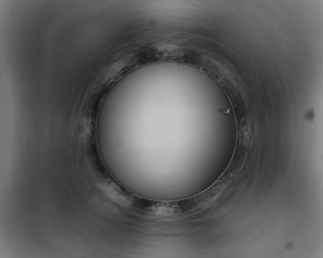 X0000102010756200807251308