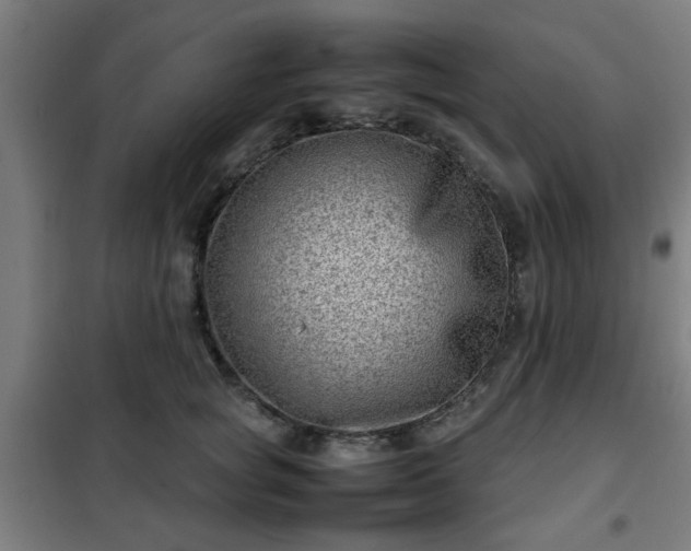 X0000102010757200807251308