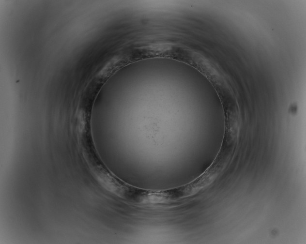 X0000102010758200807251308