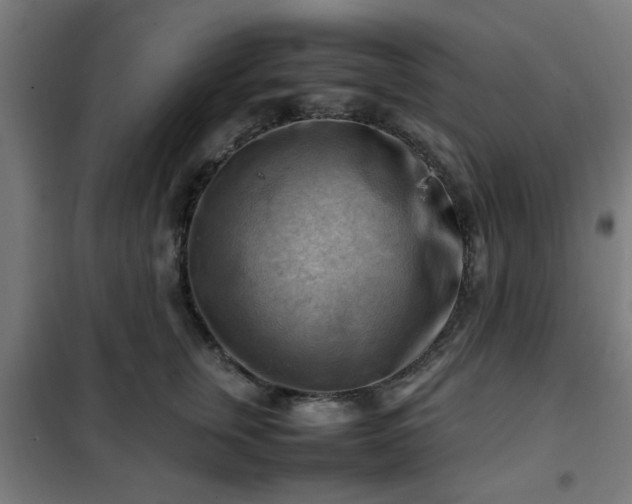 X0000102010759200807251308