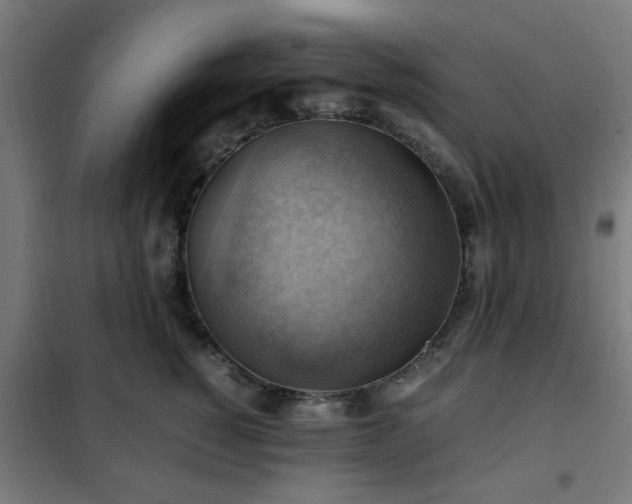 X0000102010760200807251308