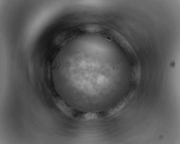 X0000102010762200807251308