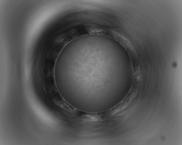 X0000102010763200807251308
