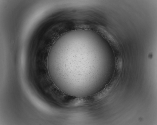 X0000102010764200807251309