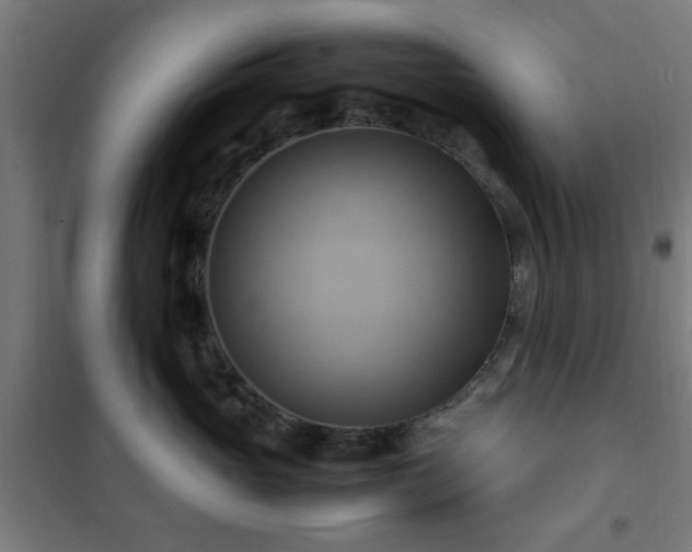 X0000102010765200807251309