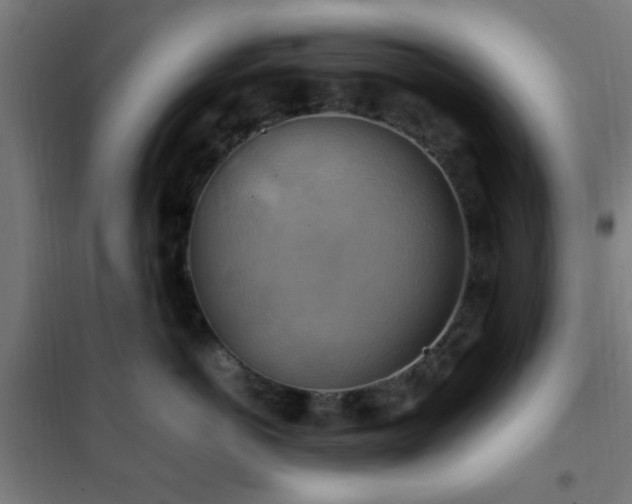 X0000102010766200807251309