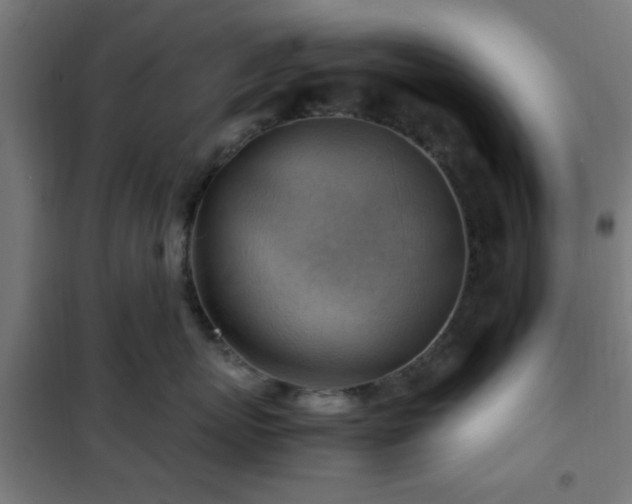 X0000102010767200807251309