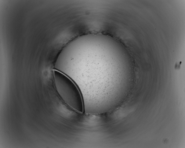 X0000102010768200807251309
