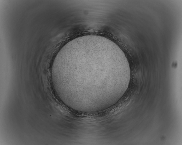X0000102010769200807251308
