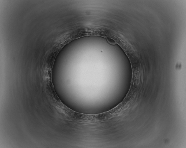 X0000102010770200807251308