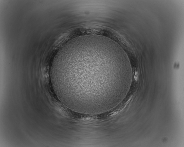 X0000102010771200807251308