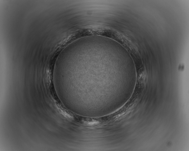 X0000102010772200807251308