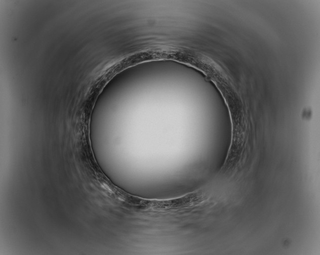 X0000102010773200807251308