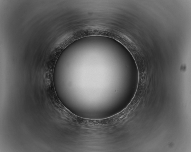 X0000102010774200807251308