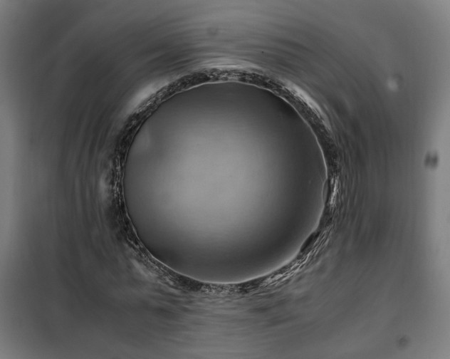 X0000102010775200807251308