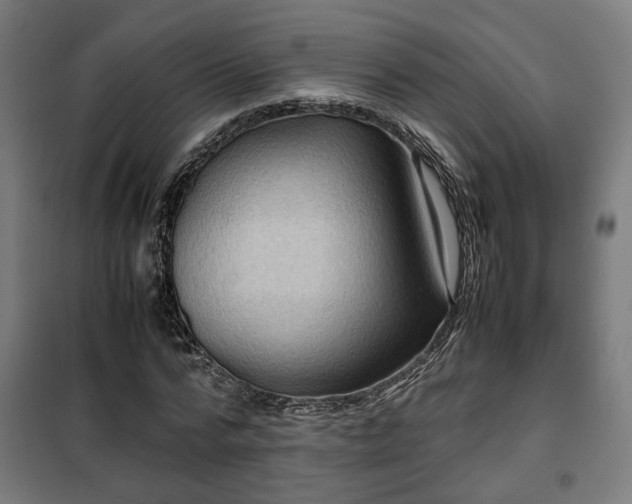 X0000102010776200807251308