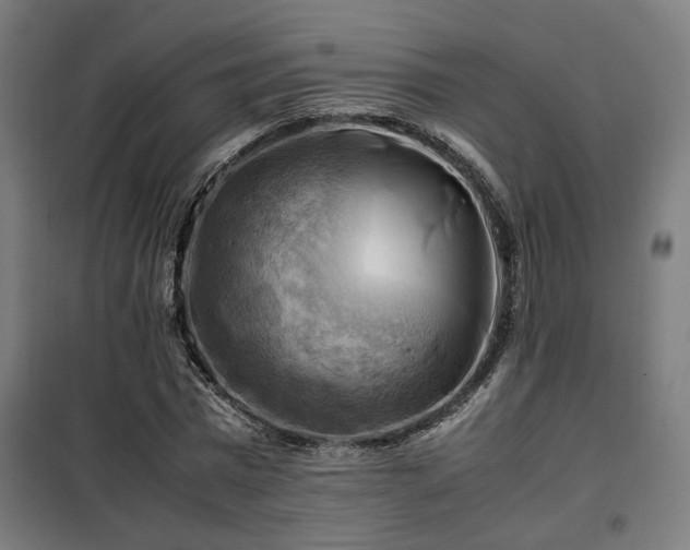 X0000102010777200807251308
