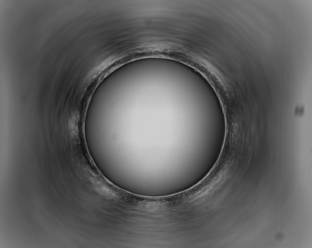 X0000102010778200807251308