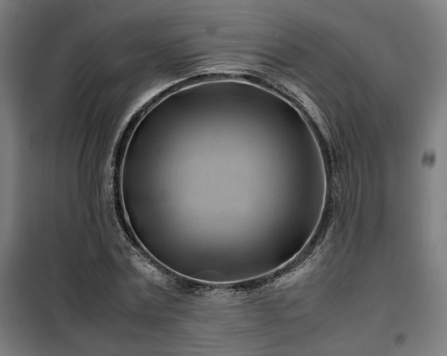 X0000102010779200807251308